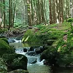 Brzozowa 4