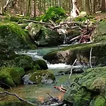 Brzozowa 4 * Piechowice (Karkonosze)