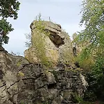 Brzozowa 4 *