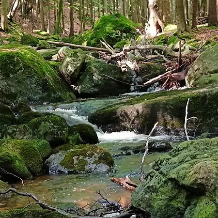 Brzozowa 4 * Piechowice (Karkonosze)