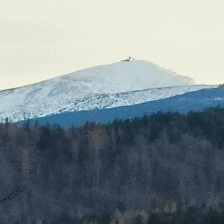 Brzozowa 4 Apartment