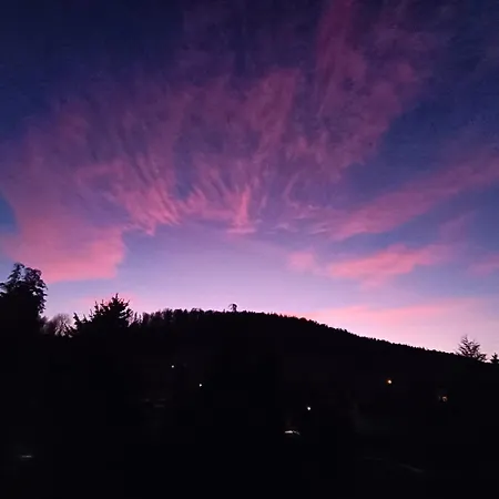 Apartment Brzozowa 4 *