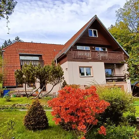 Brzozowa 4 *