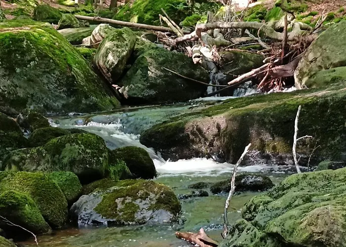 Brzozowa 4 * Piechowice (Karkonosze)