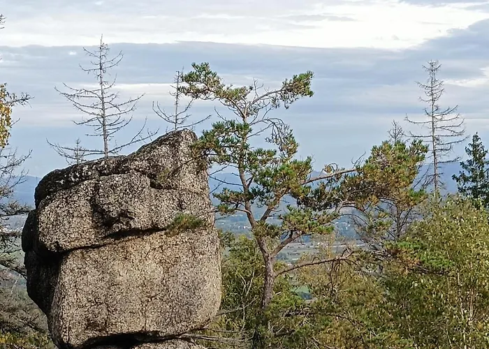 Apartment Brzozowa 4 Piechowice (Karkonosze)