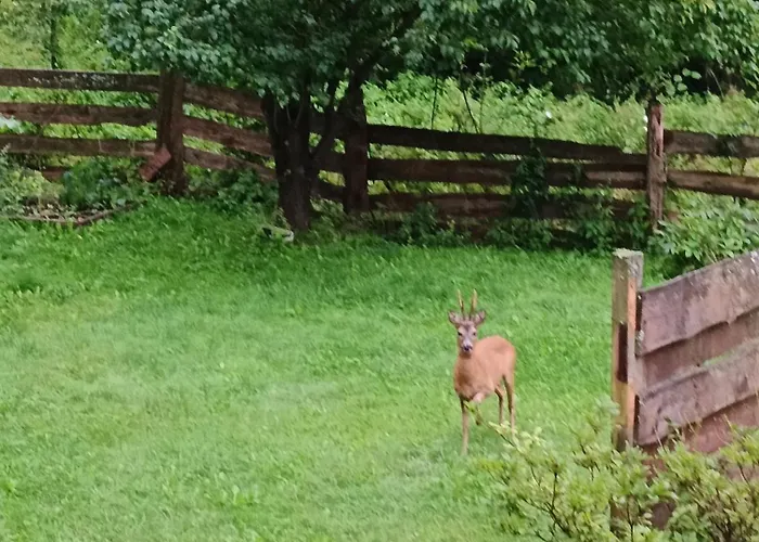 Apartment Brzozowa 4 *