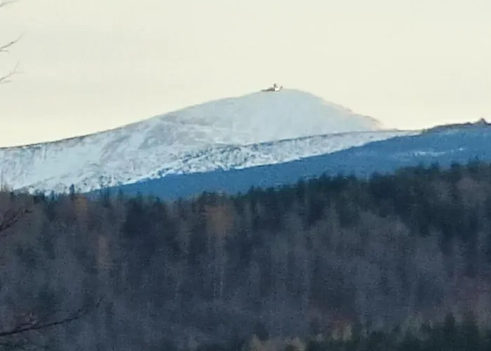 Brzozowa 4 Apartment