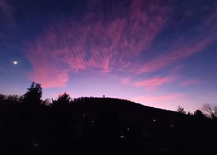 Apartment Brzozowa 4 *