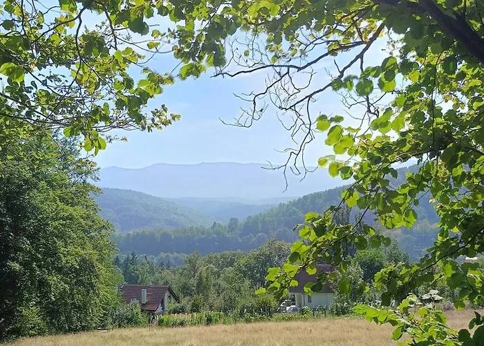 Brzozowa 4 Apartment