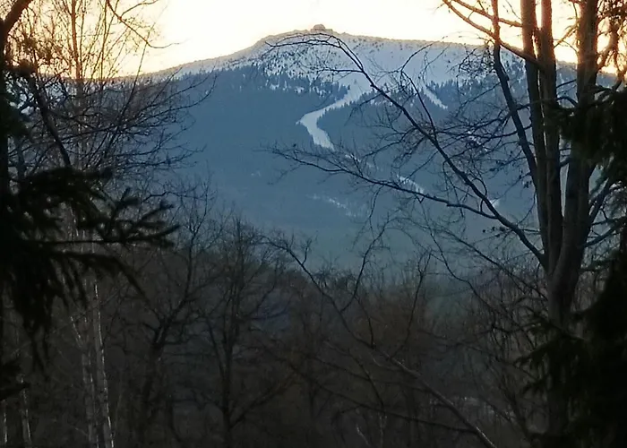 Apartment Brzozowa 4