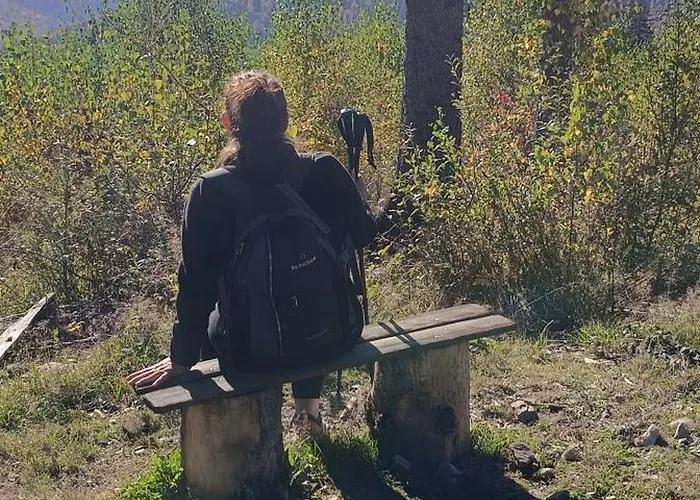 Brzozowa 4 Apartment Piechowice (Karkonosze)