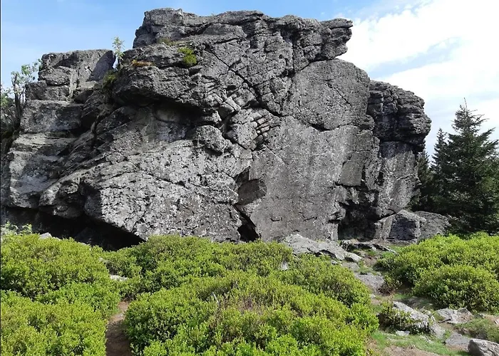 Apartment Brzozowa 4