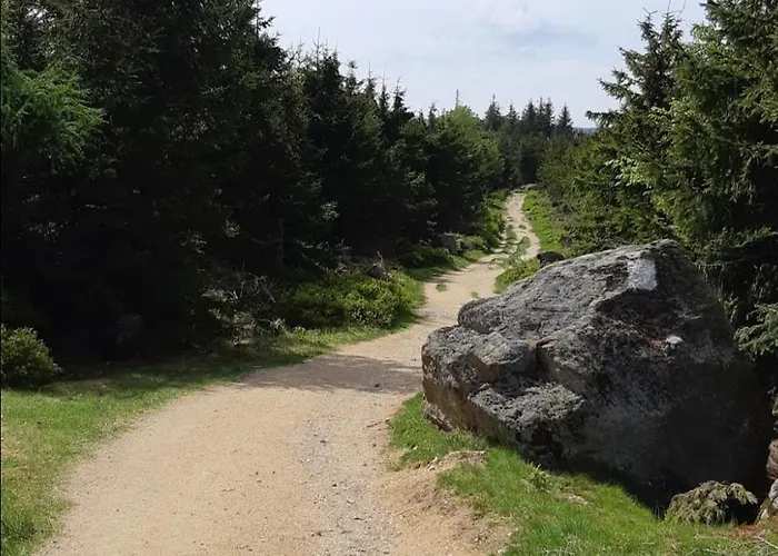 Brzozowa 4 Apartment *