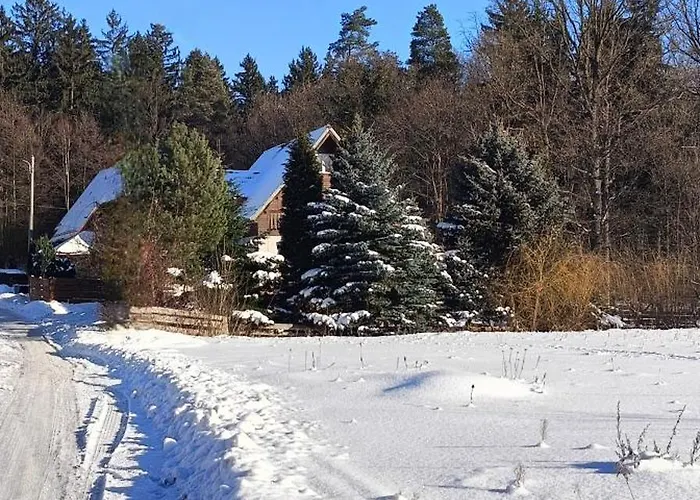 Brzozowa 4 Apartment